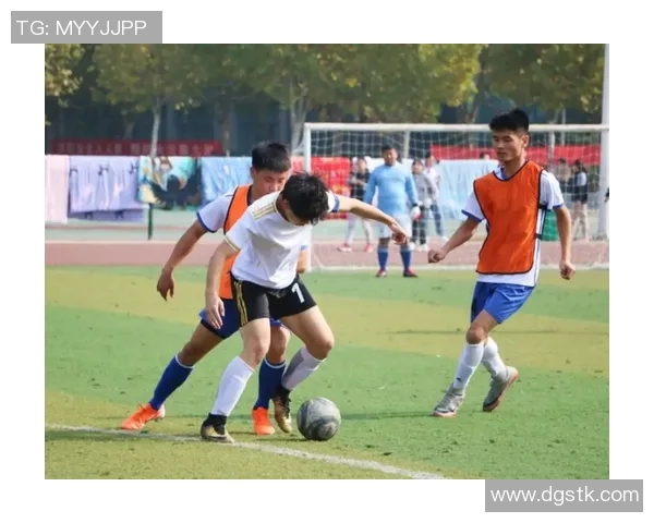 黑白足球的魅力与挑战探索这项运动背后的故事与精神