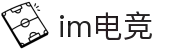 IM(股份有限公司)电竞-电子竞技平台